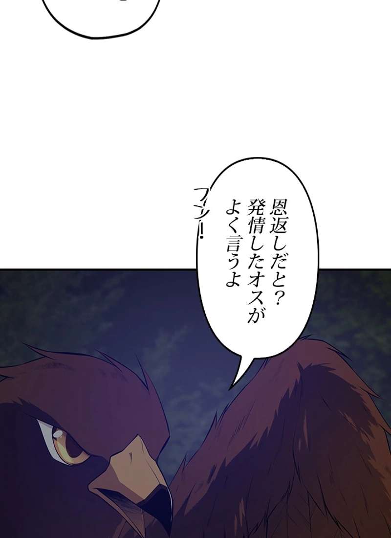 P62