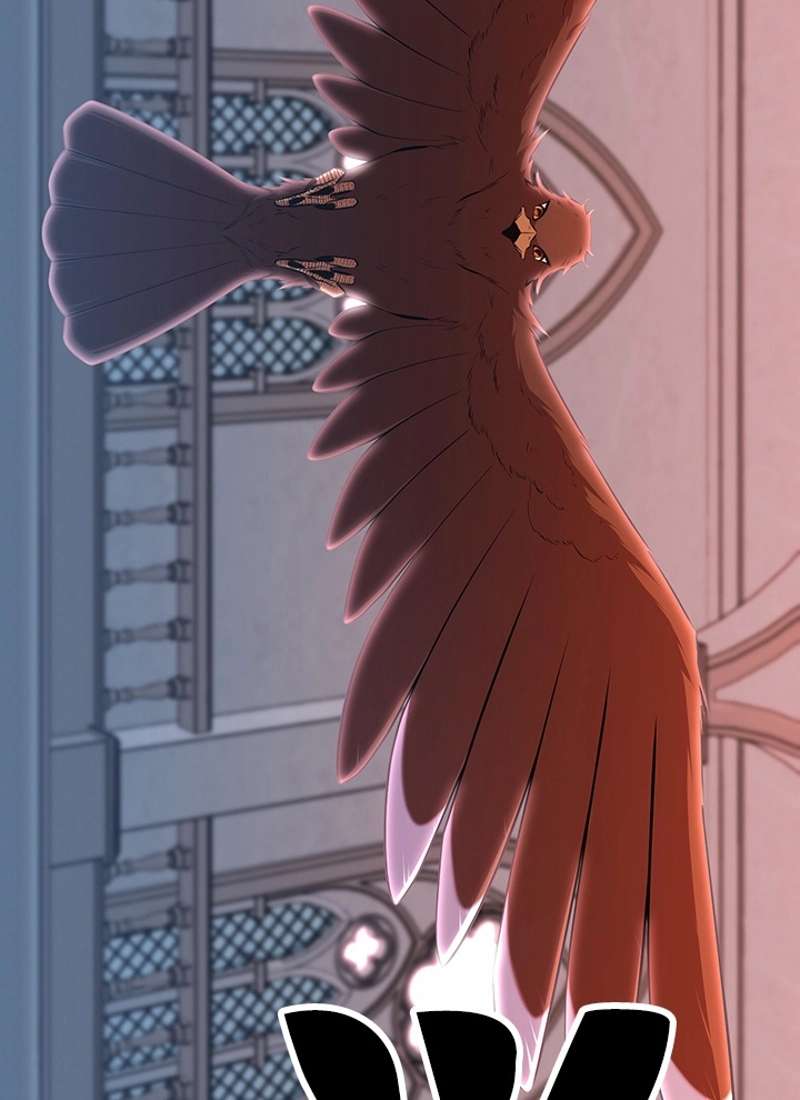 P24