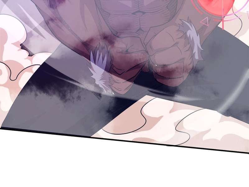 P66