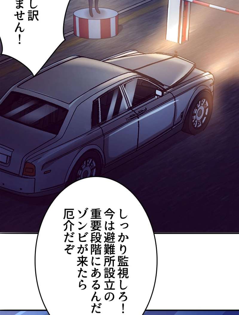 P63