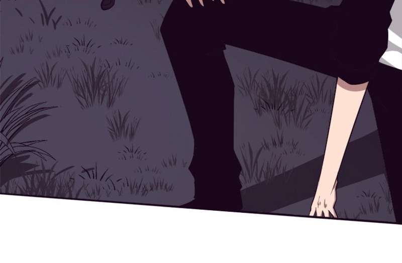 P66