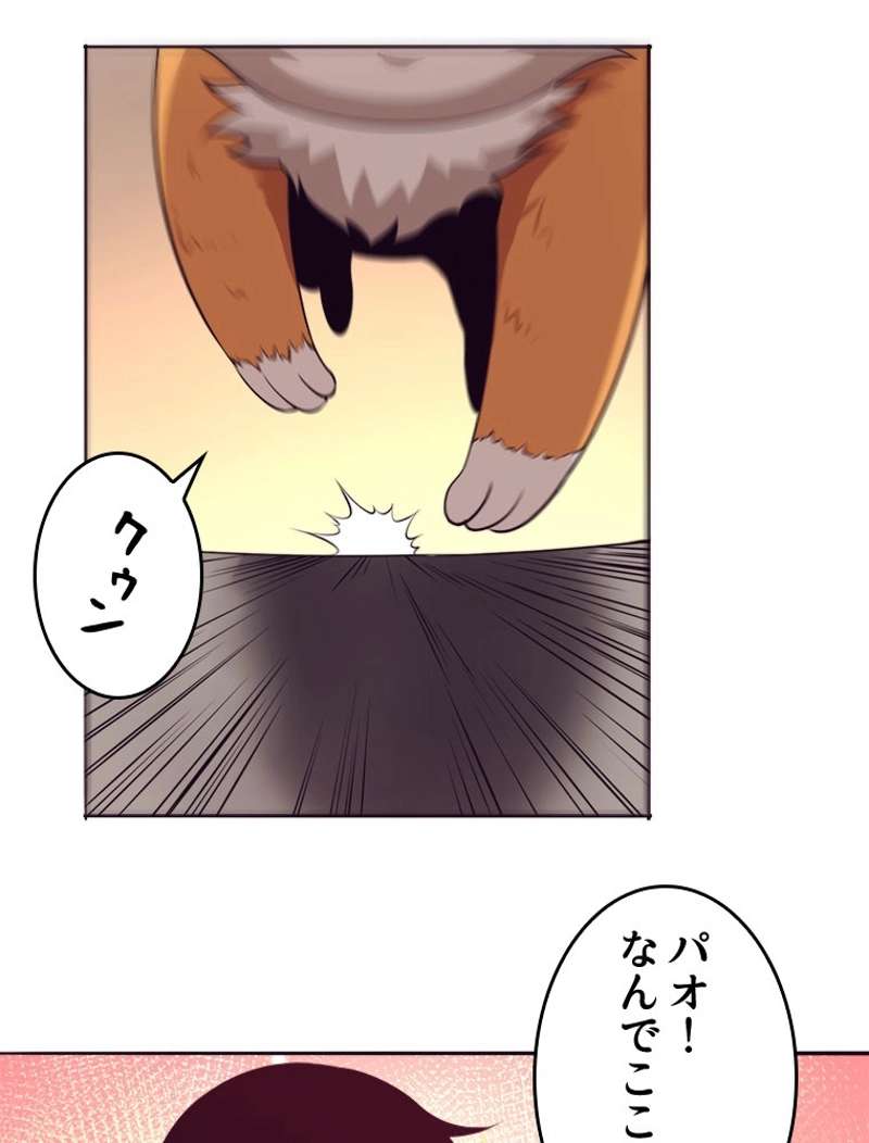 P43