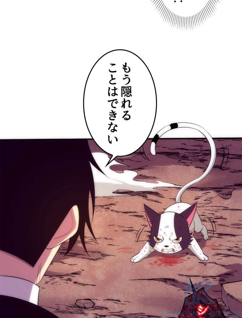 P73
