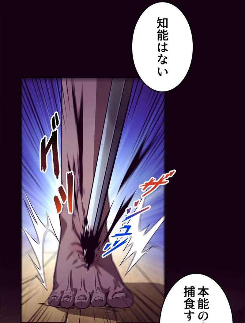 P55