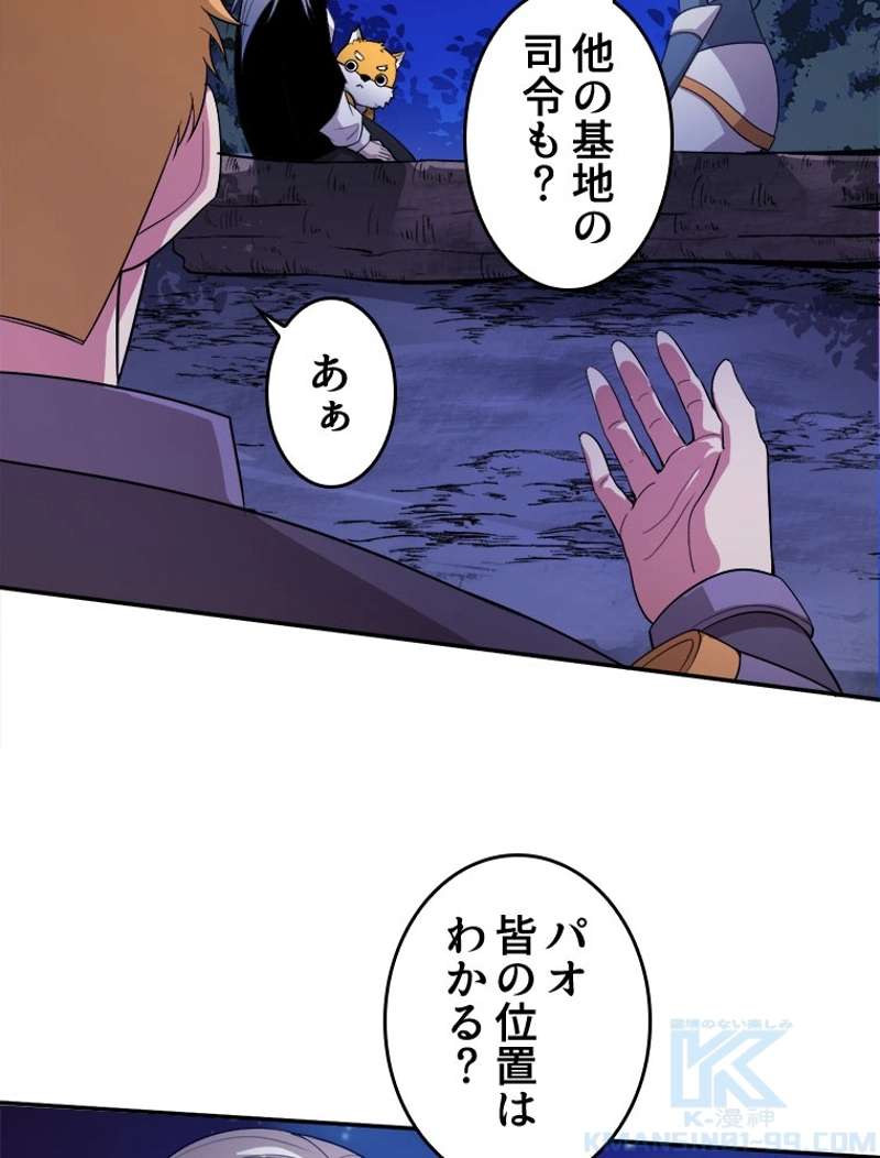 P61