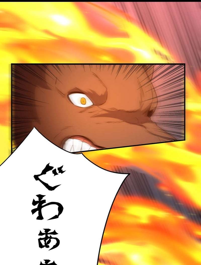 P66