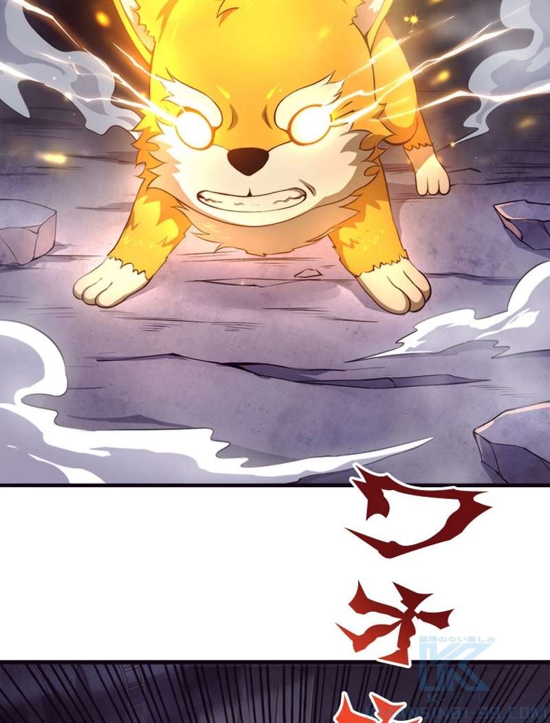 P56