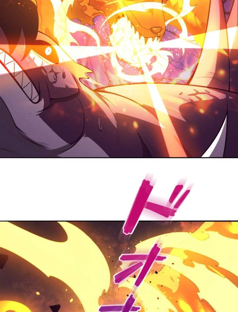P48