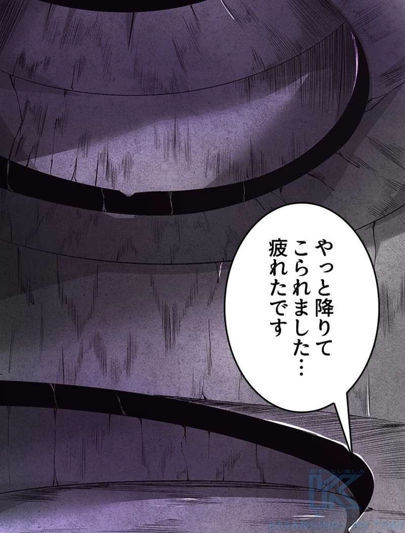 P61