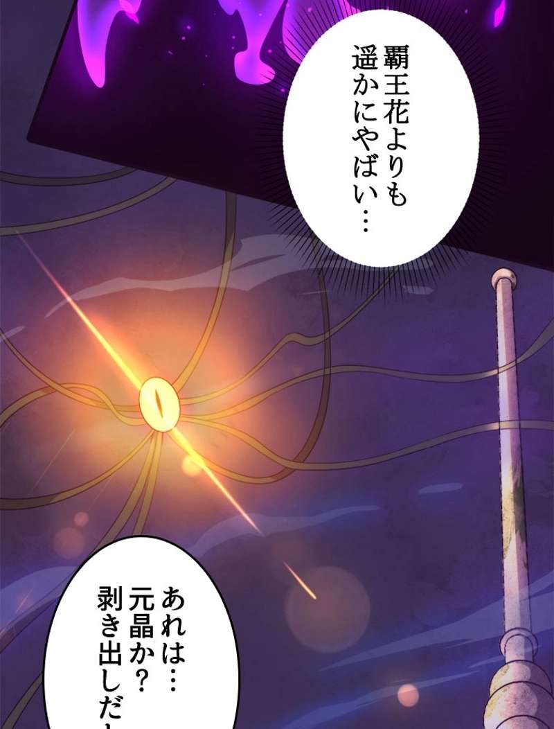 P68