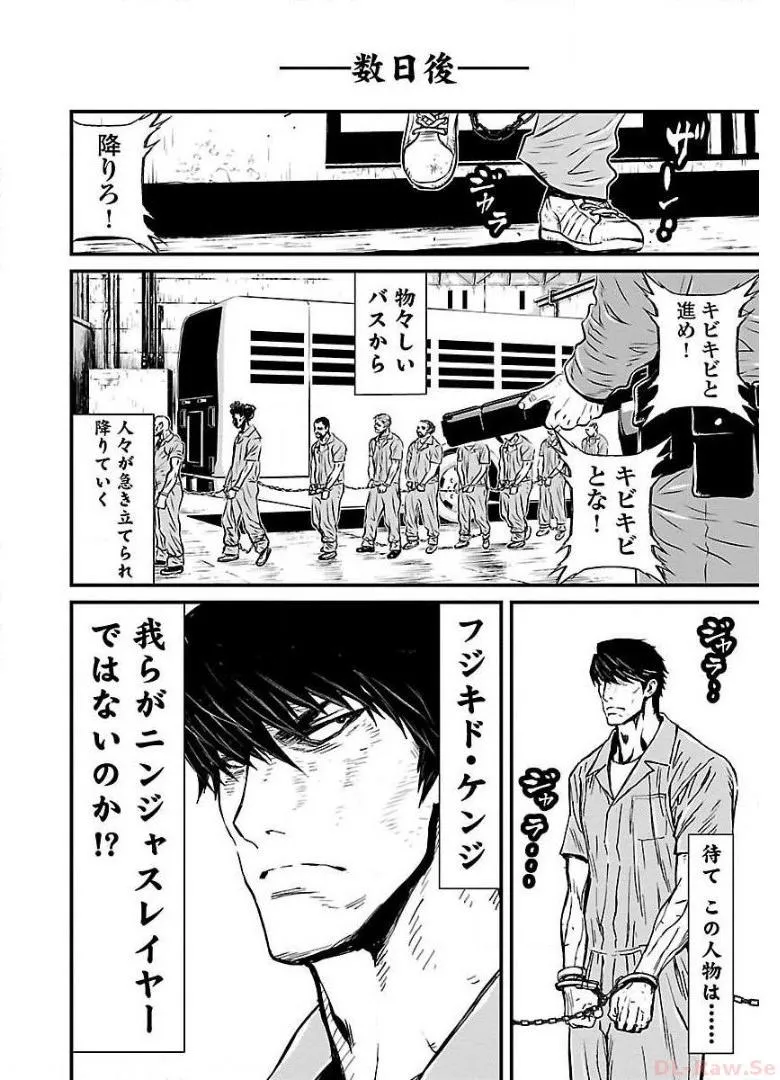 P53