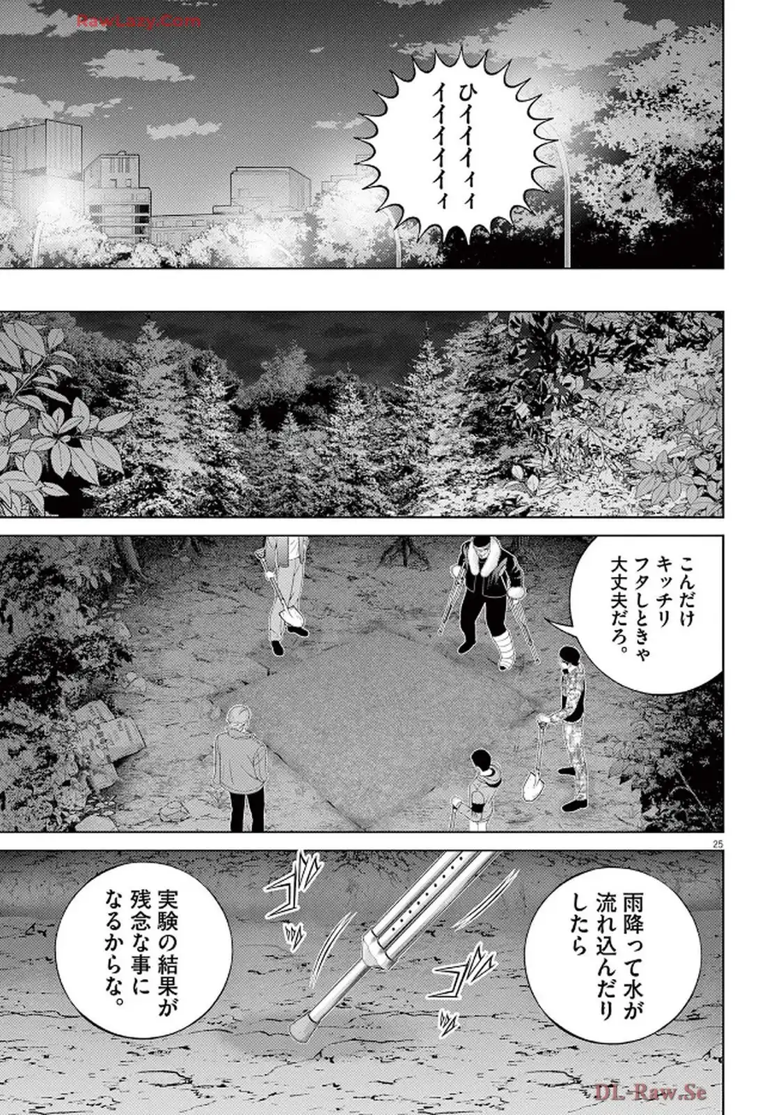 P25