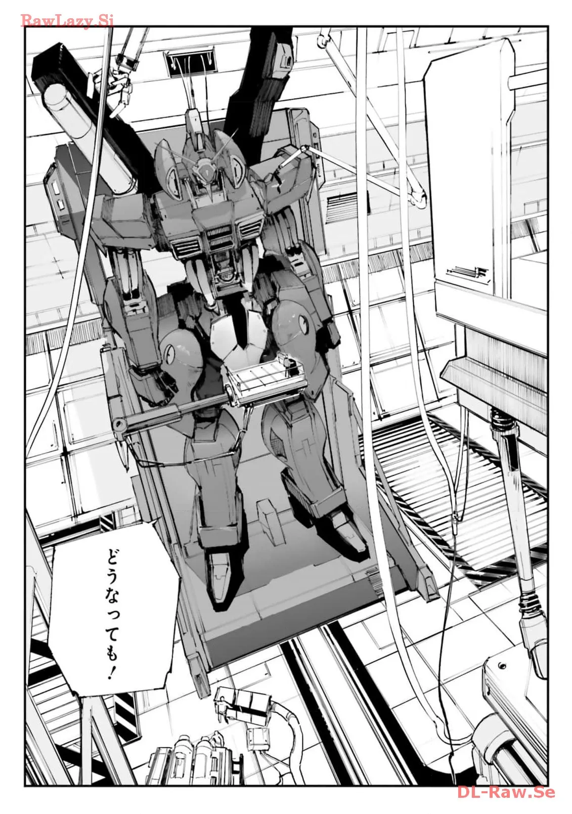 P53