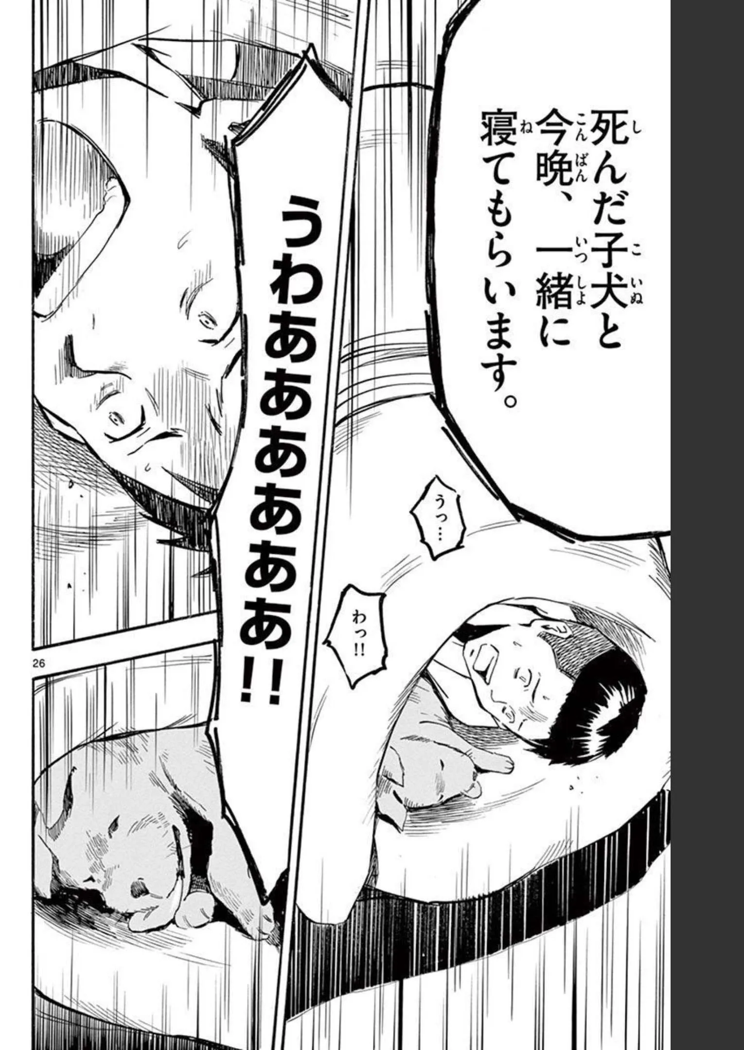 P26