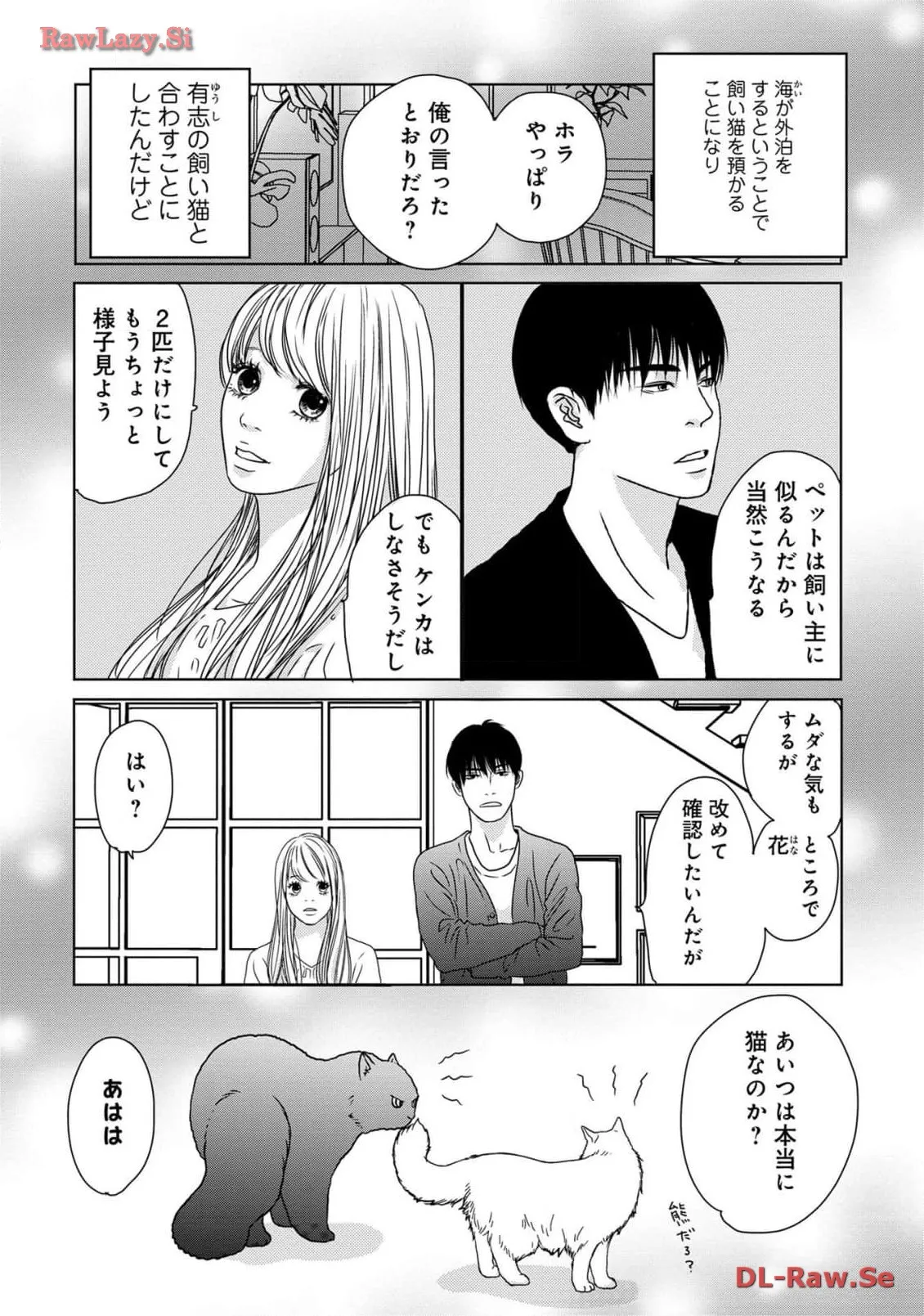 P53