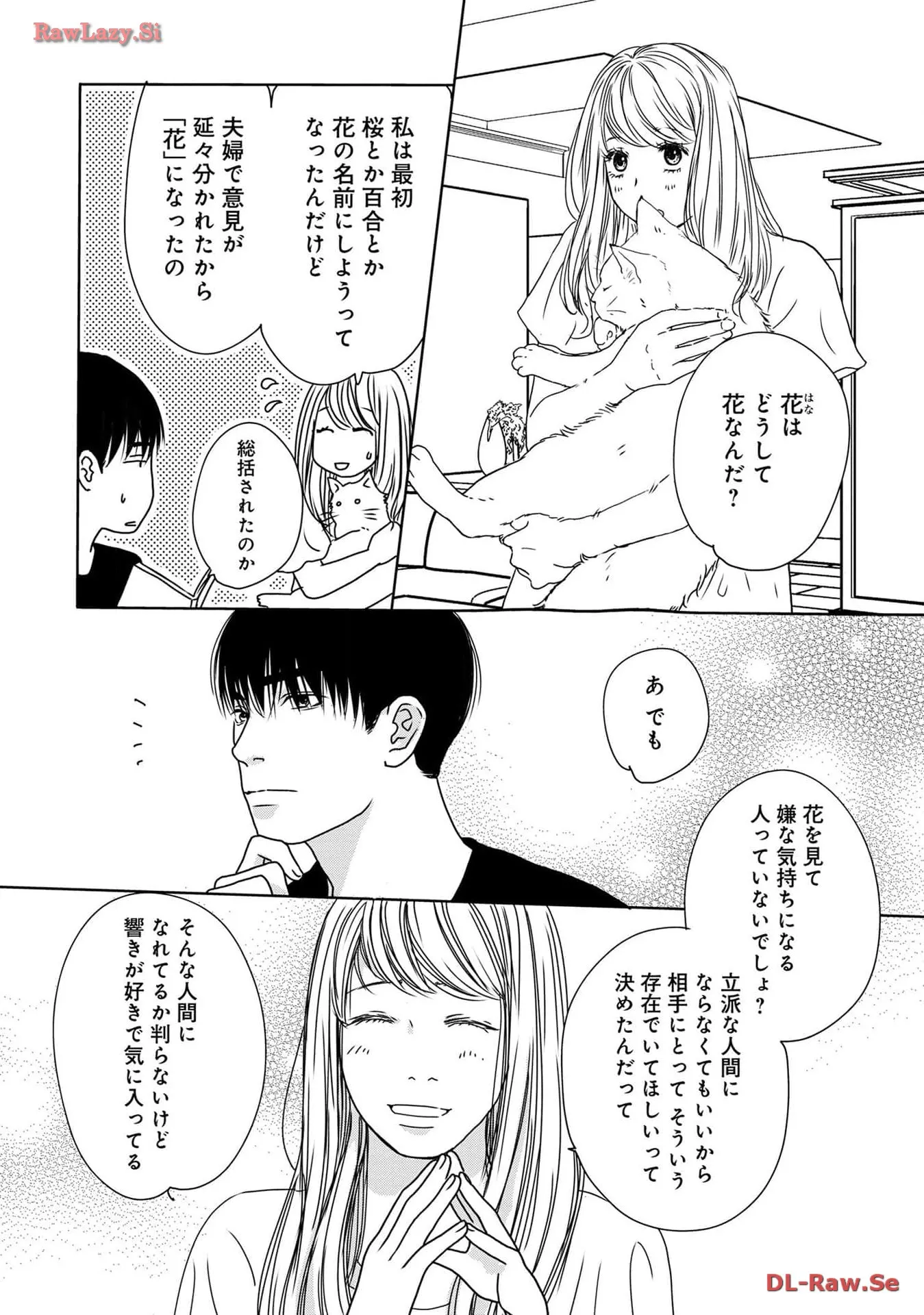 P53