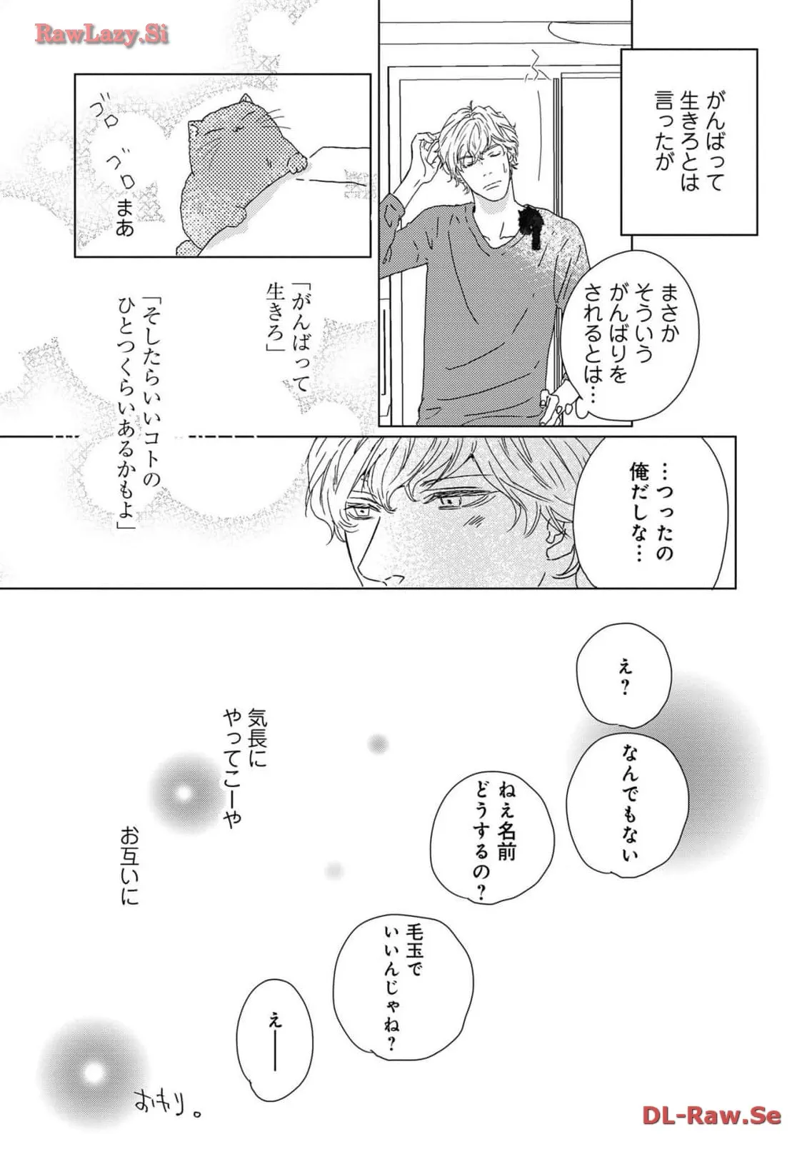 P53