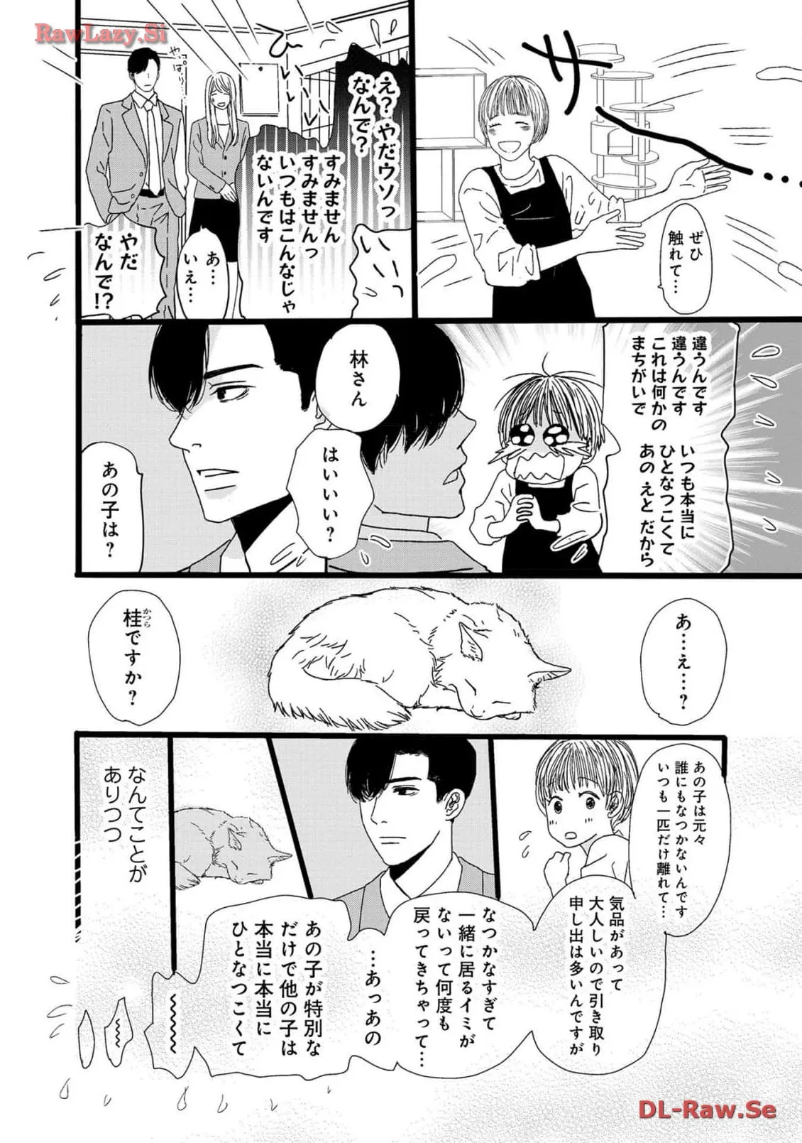 P58
