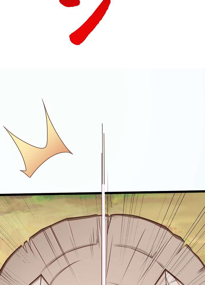 P51