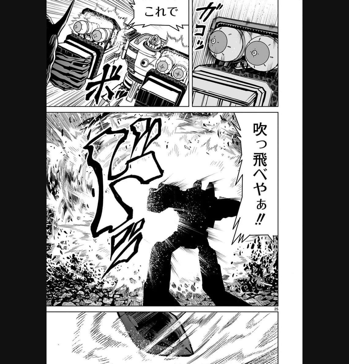 P25