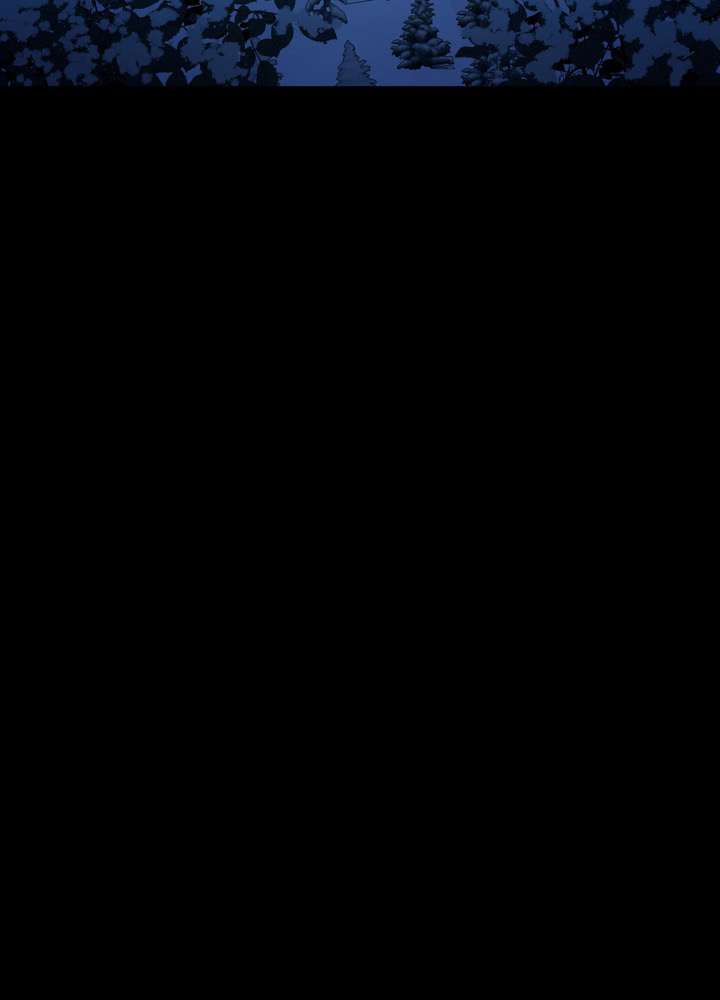 P54