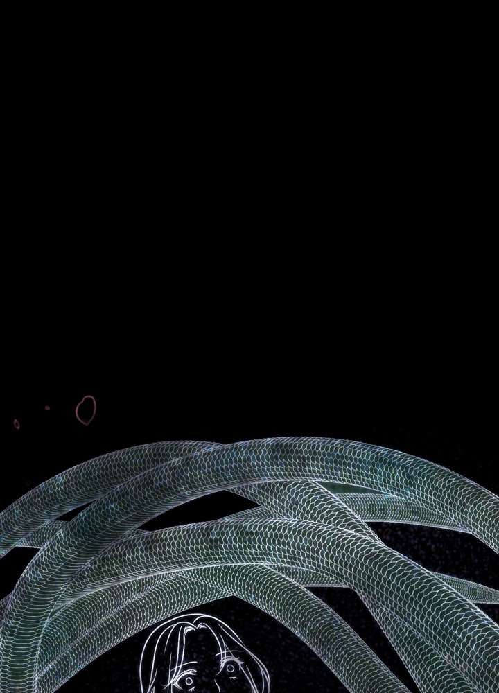 P62