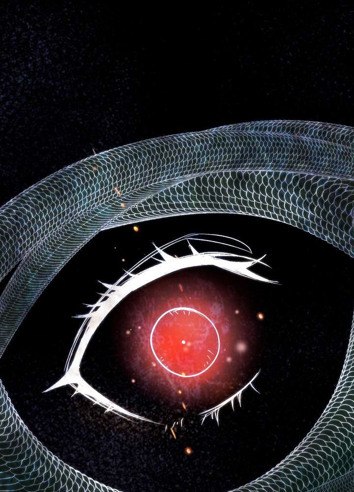P65