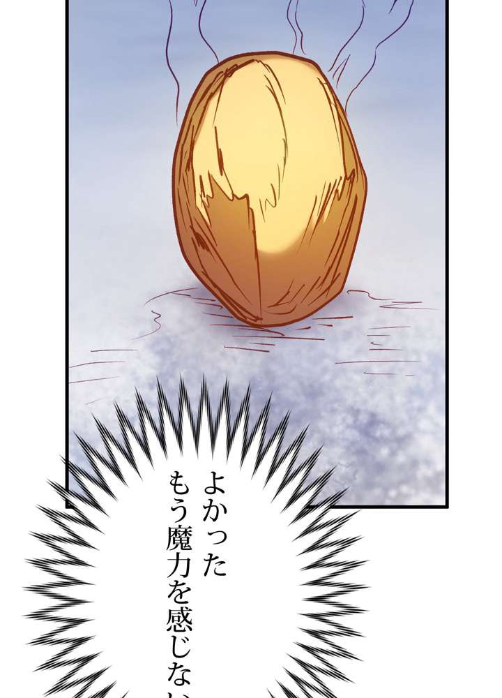 P66