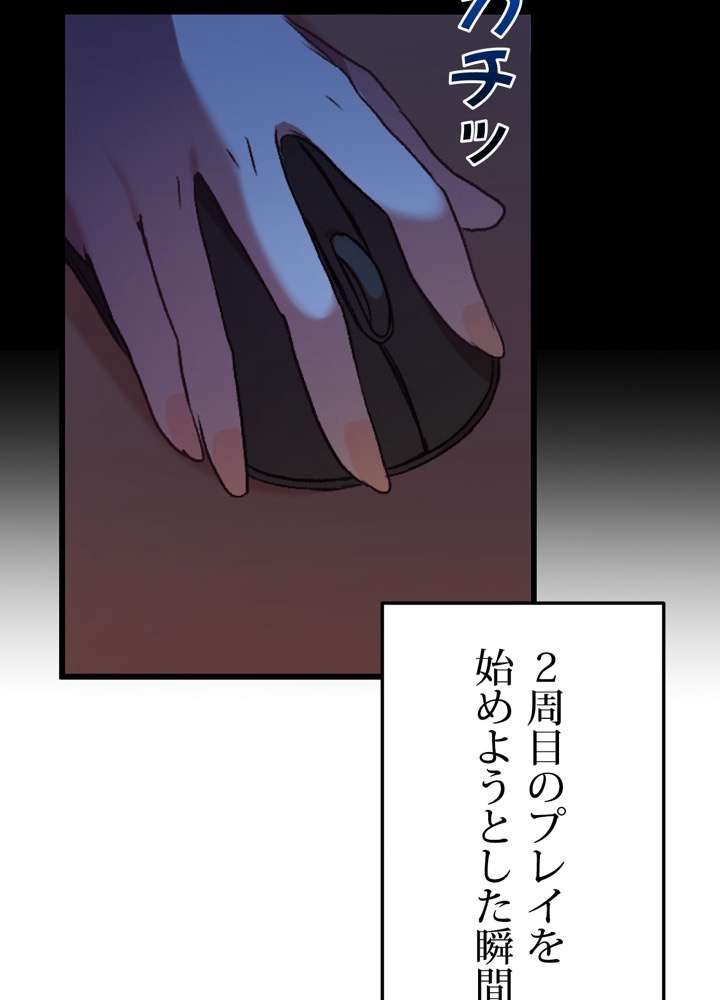 P66
