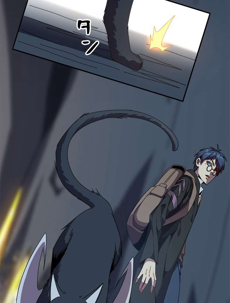 P53