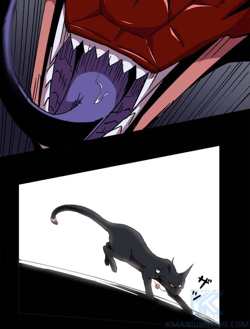 P40