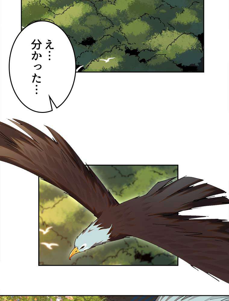 P41
