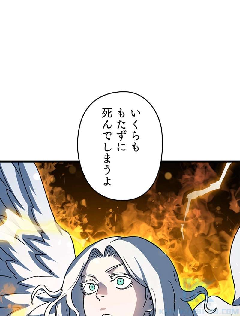 P58