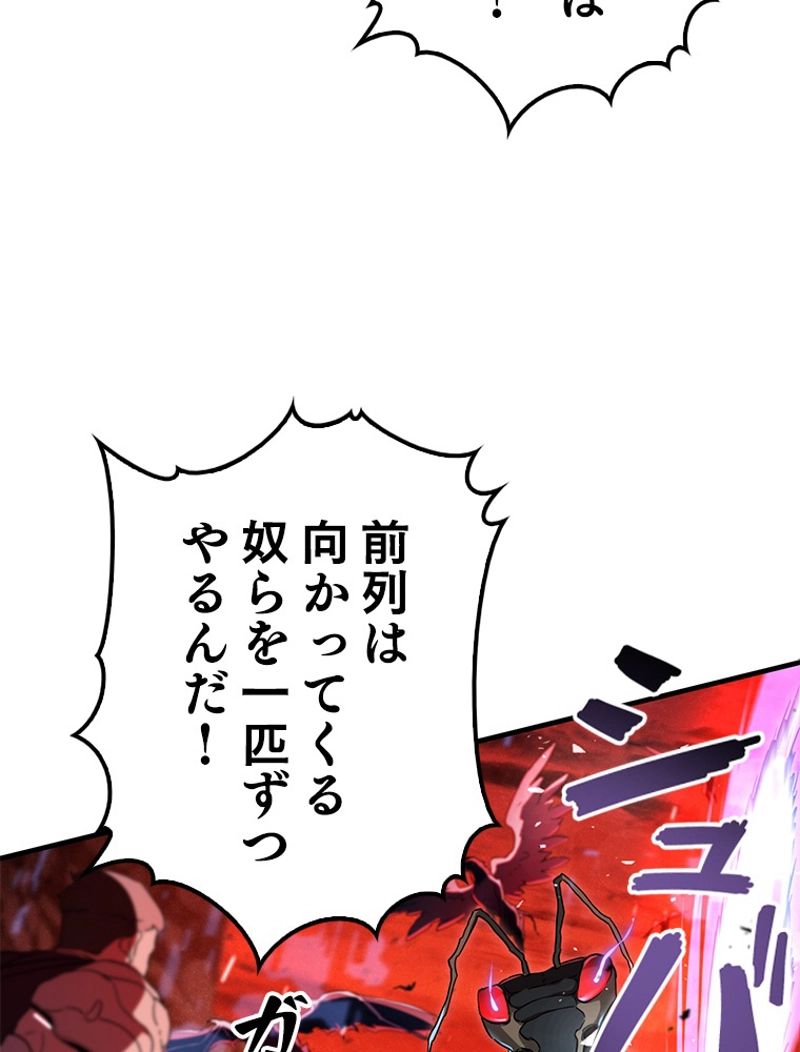P66