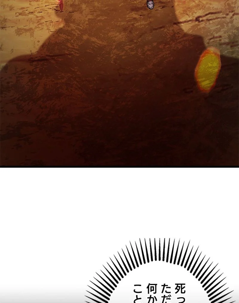 P58