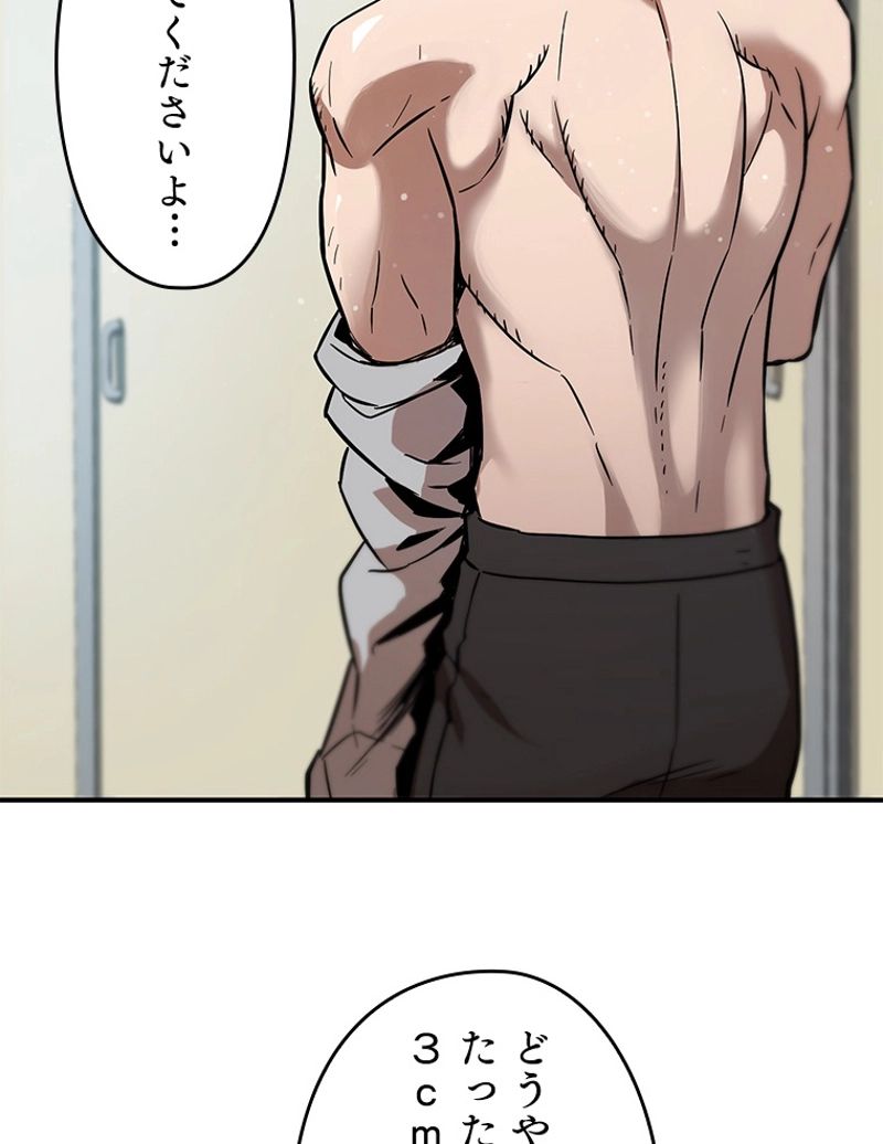 P66