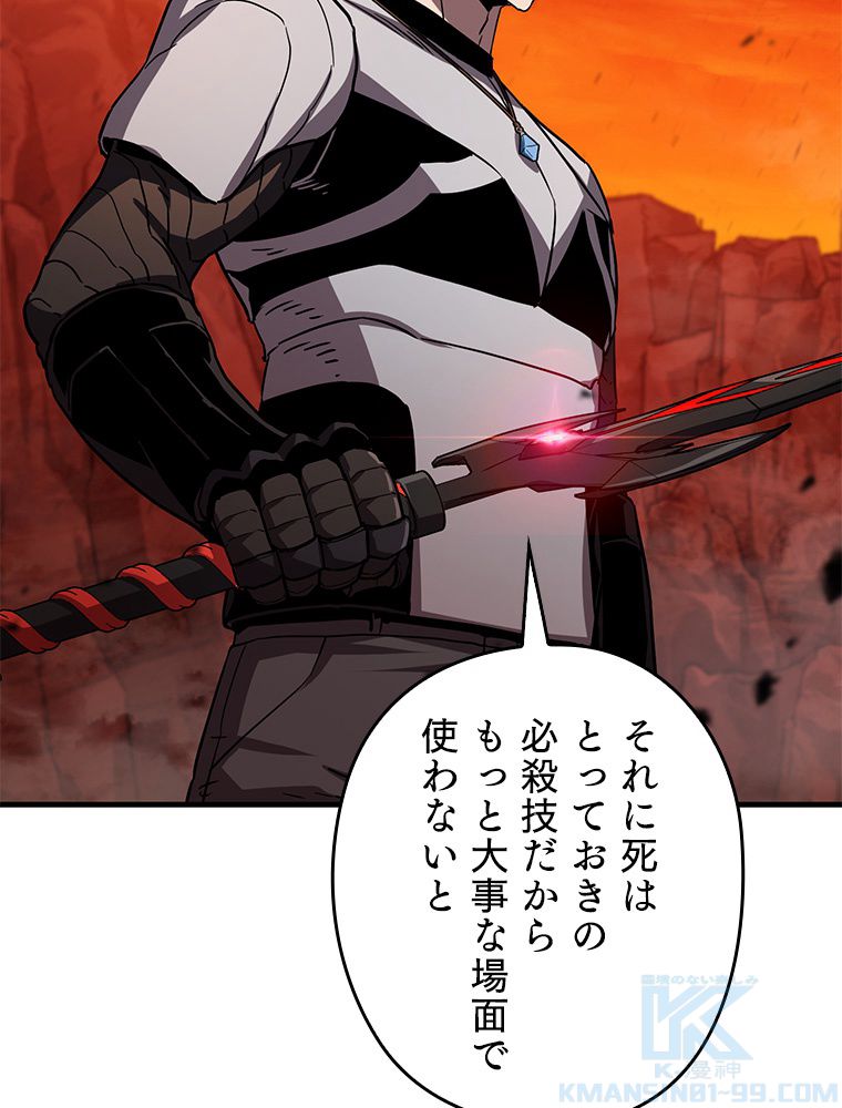 P113