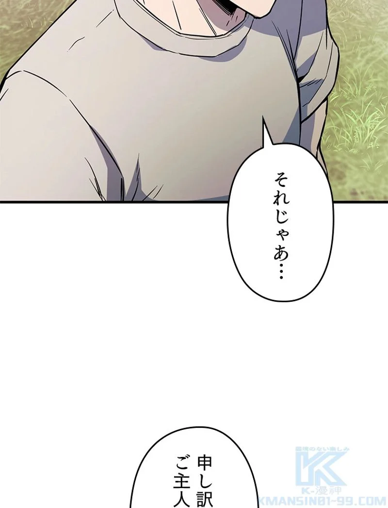 P113