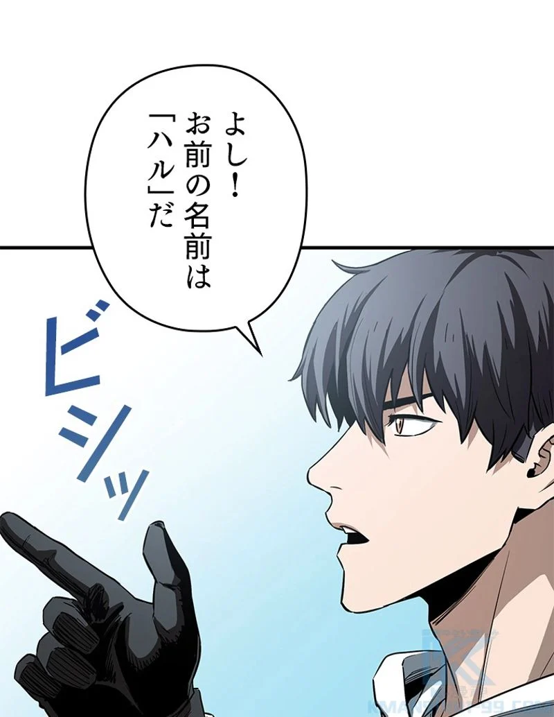 P55