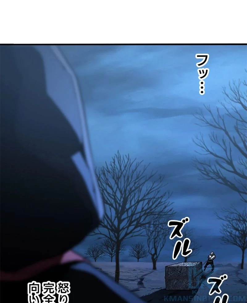 P113