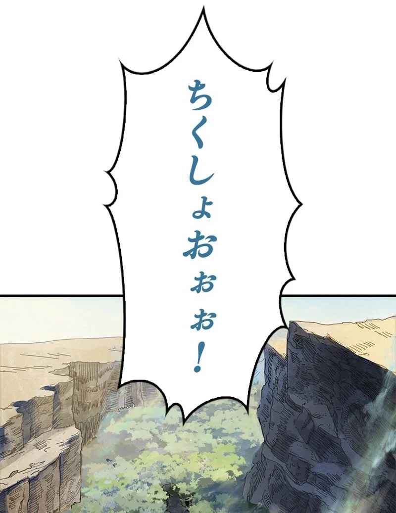P66