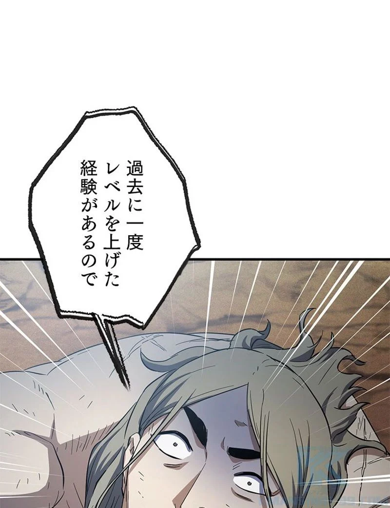 P58