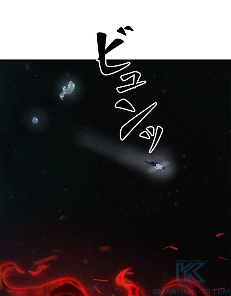 P113