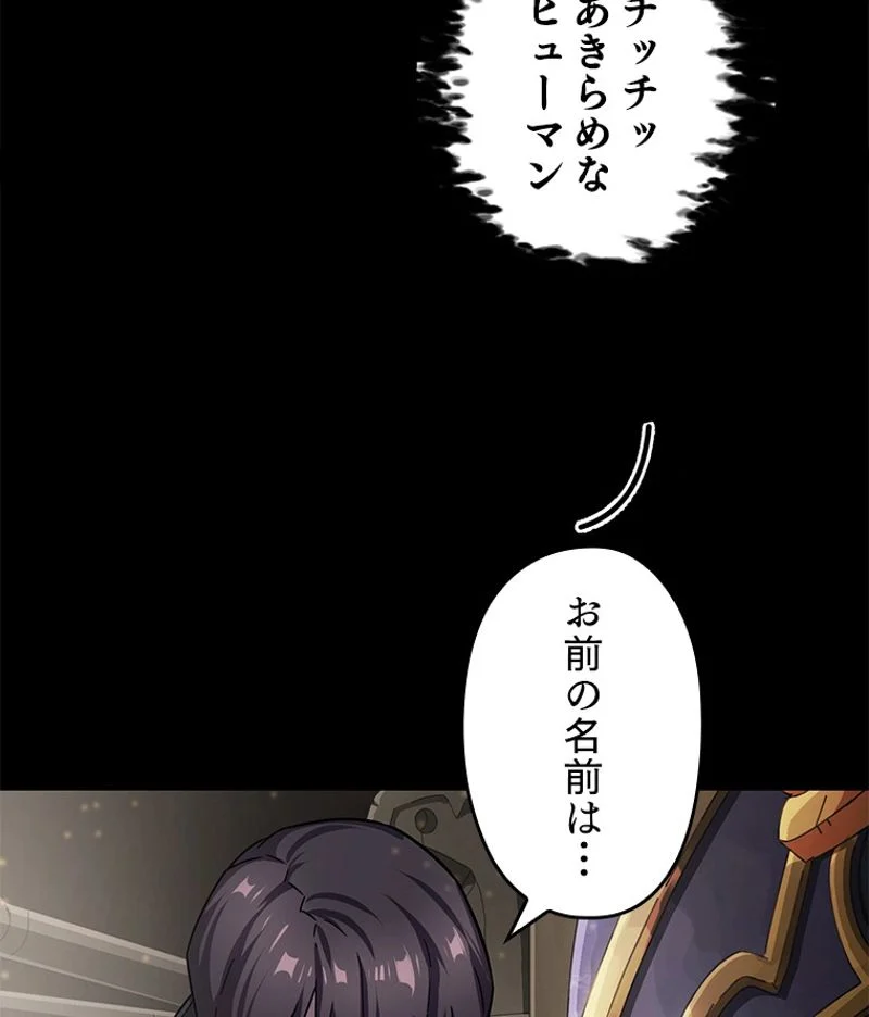 P66