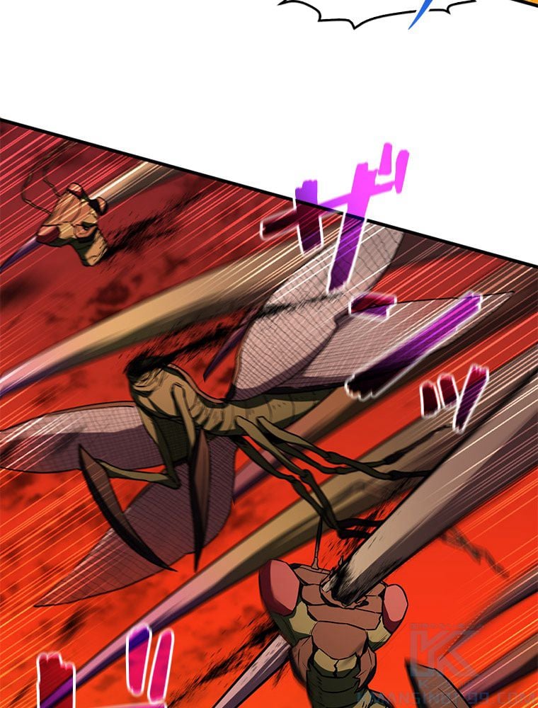P44
