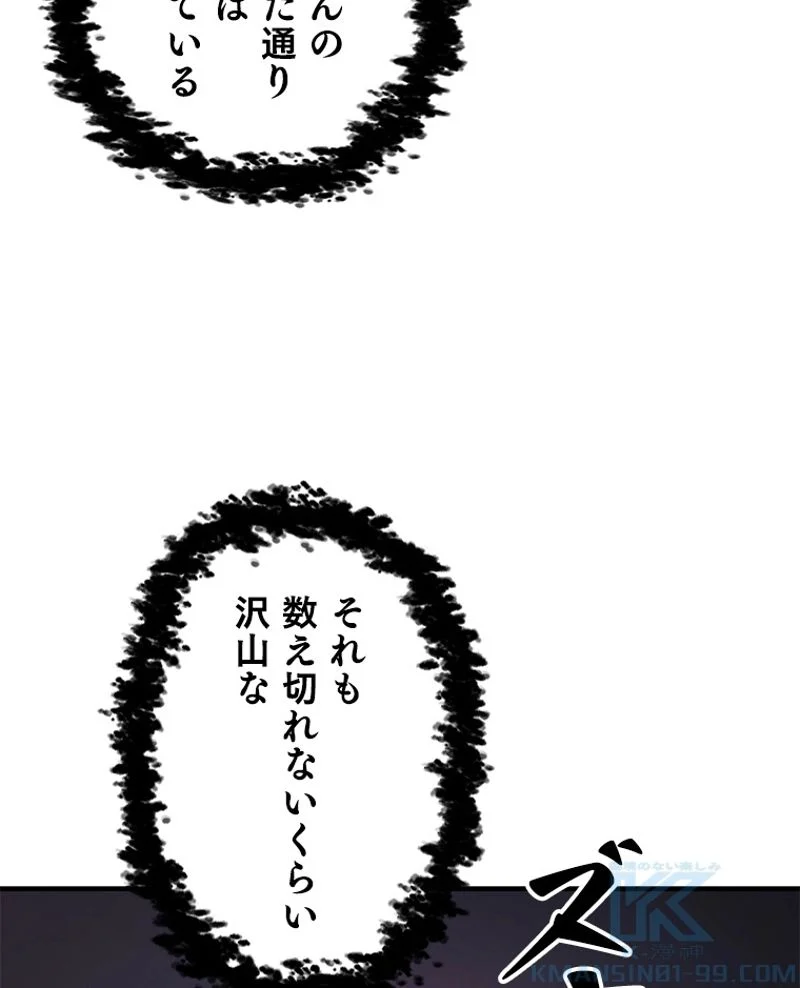 P113
