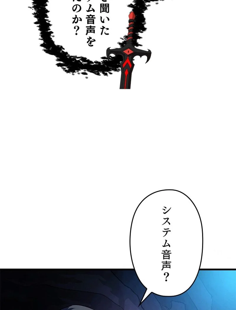 P110