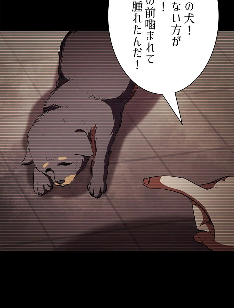P46