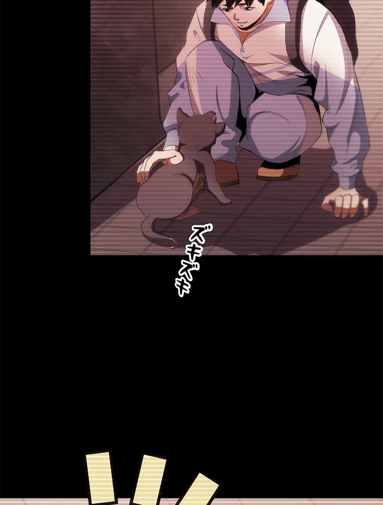 P61