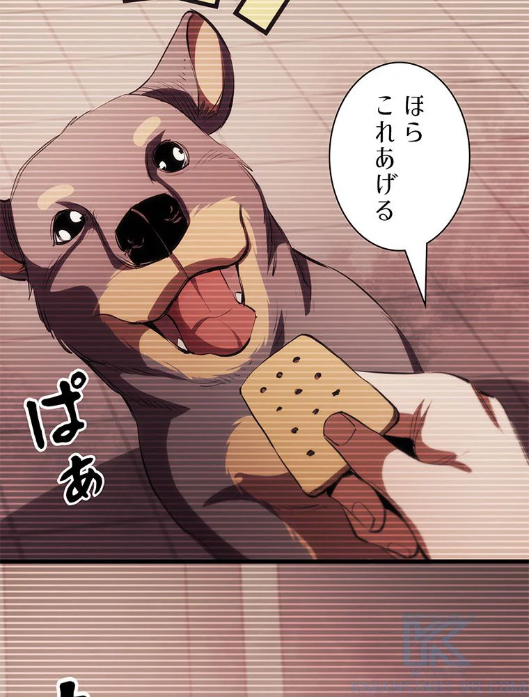 P62